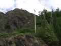 Dall sheep poke around the rocks along the Seward Highway