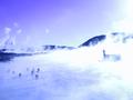 More Blue Lagoon