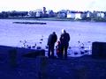 A family in front of the Tjornin, a pond in the middle of the city